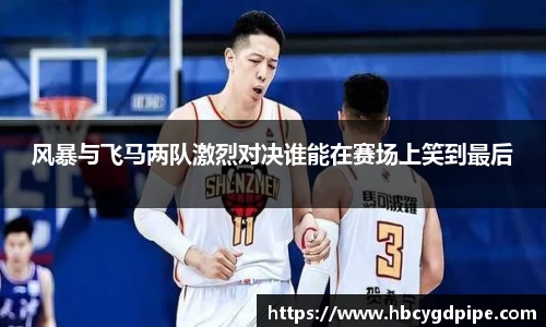 风暴与飞马两队激烈对决谁能在赛场上笑到最后